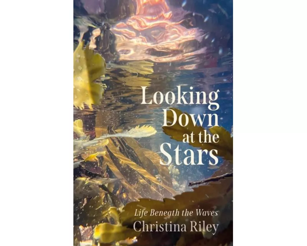 Looking Down at the Stars