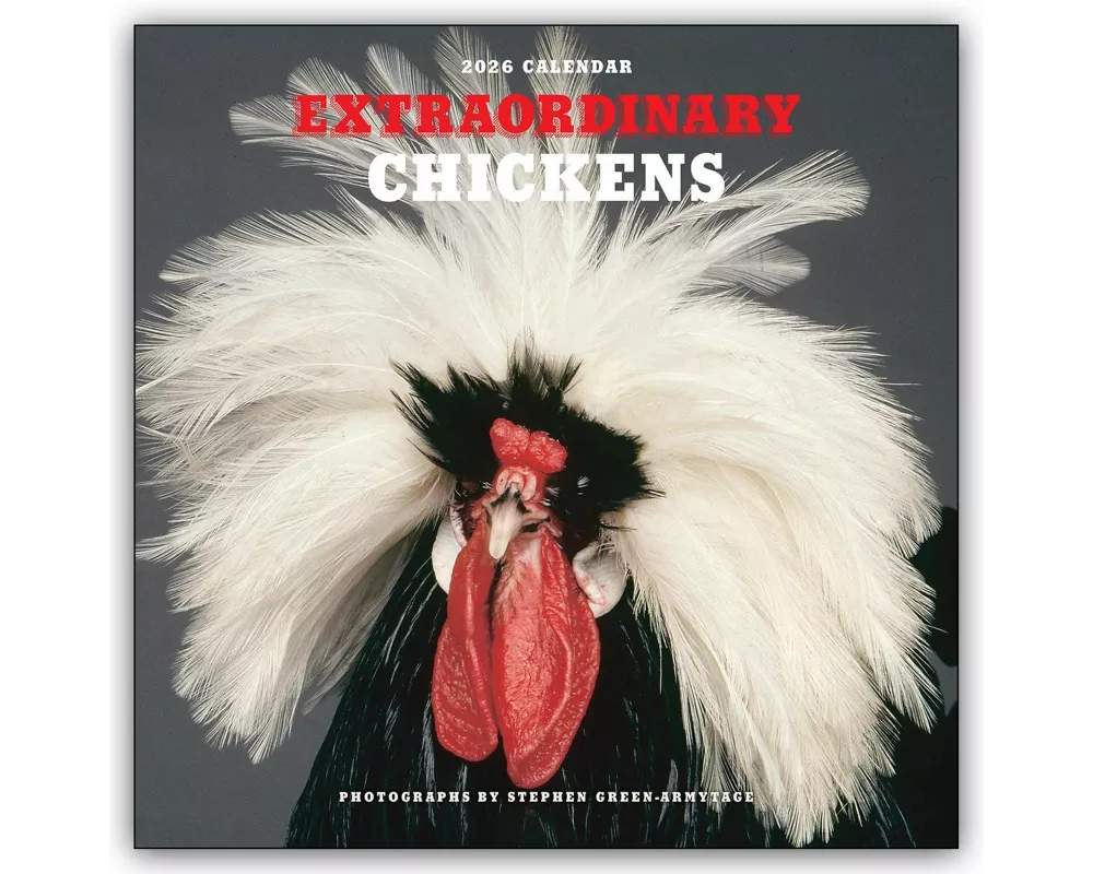 Extraordinary Chickens - Außergewöhnliche Hühner 2026 - Wandkalender - Original Harry N. Abrams Kalender [Mehrsprachig] [Kalender]
