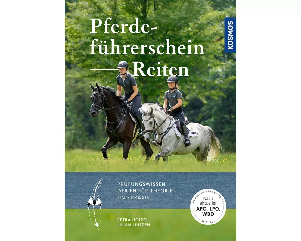 Pferdeführerschein Reiten