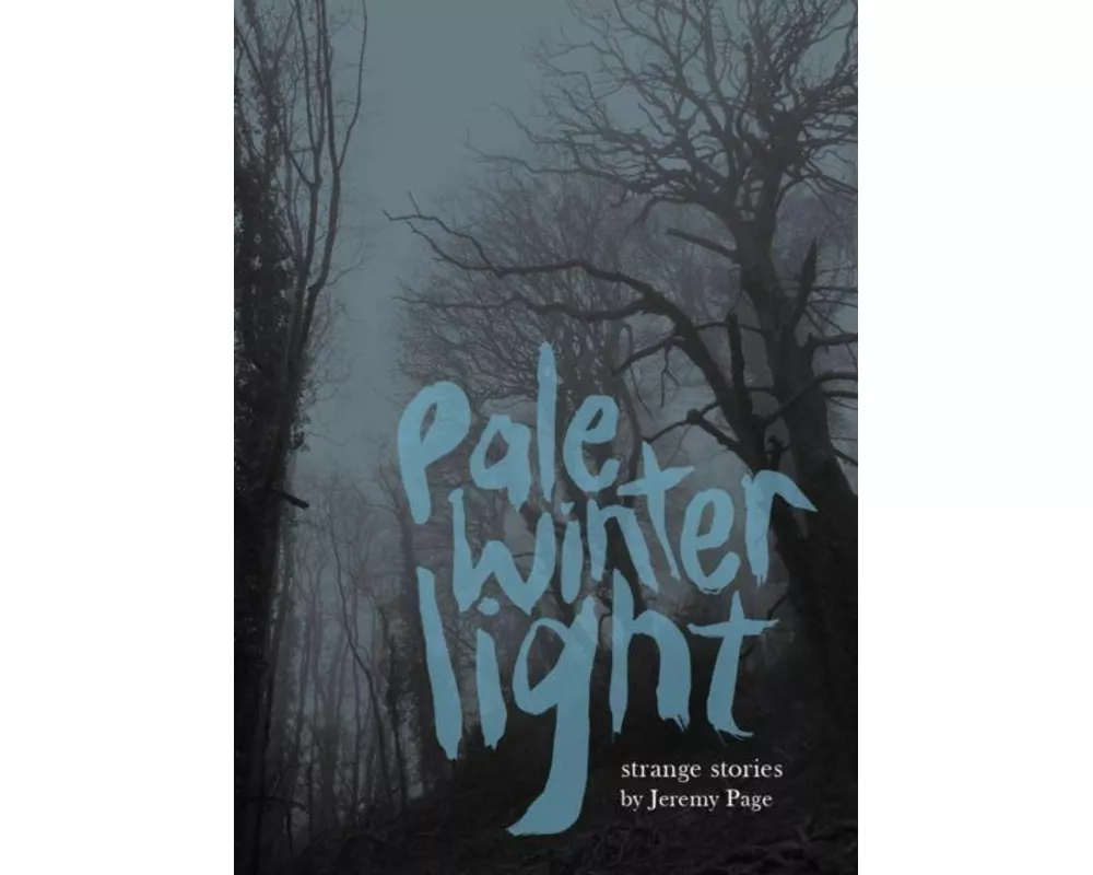 Pale Winter Light