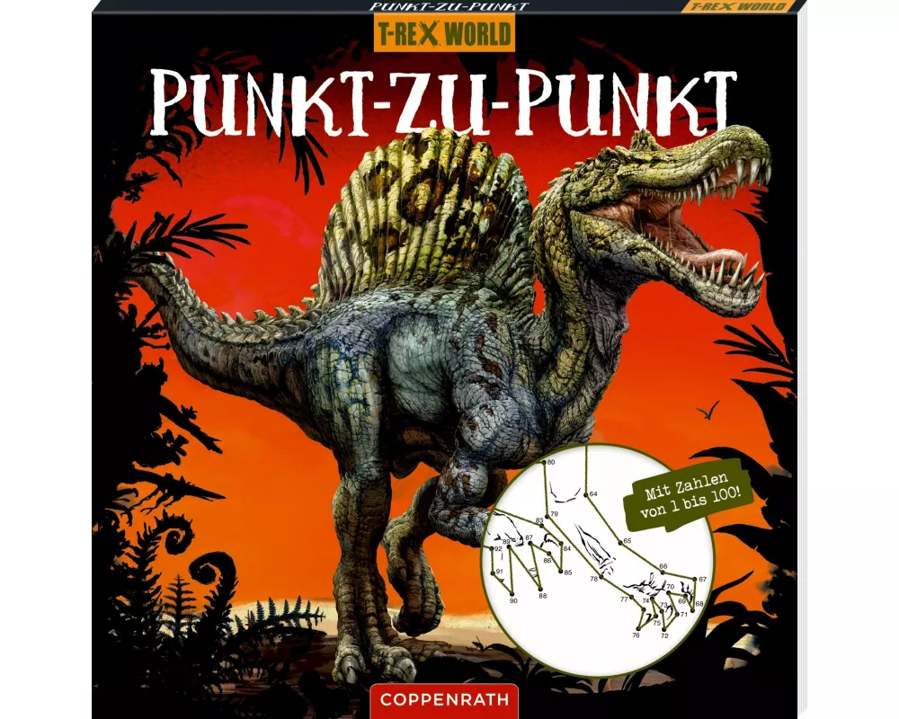 Punkt-zu-Punkt