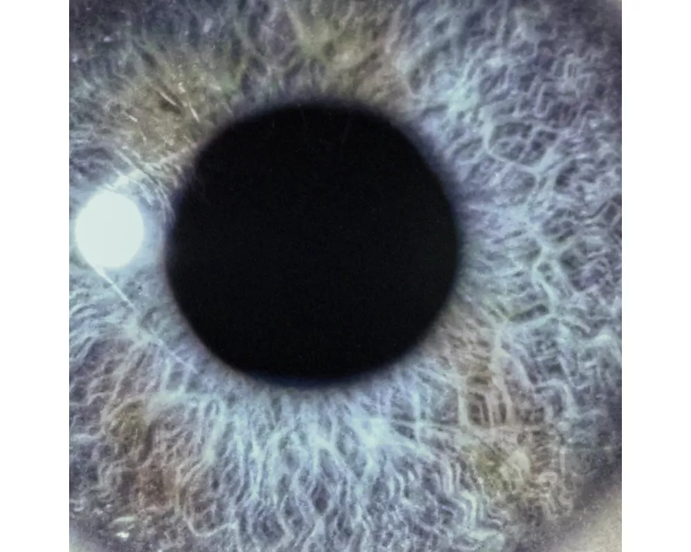 Moontower (Re-issue,Deluxe 2CD in O-Card)