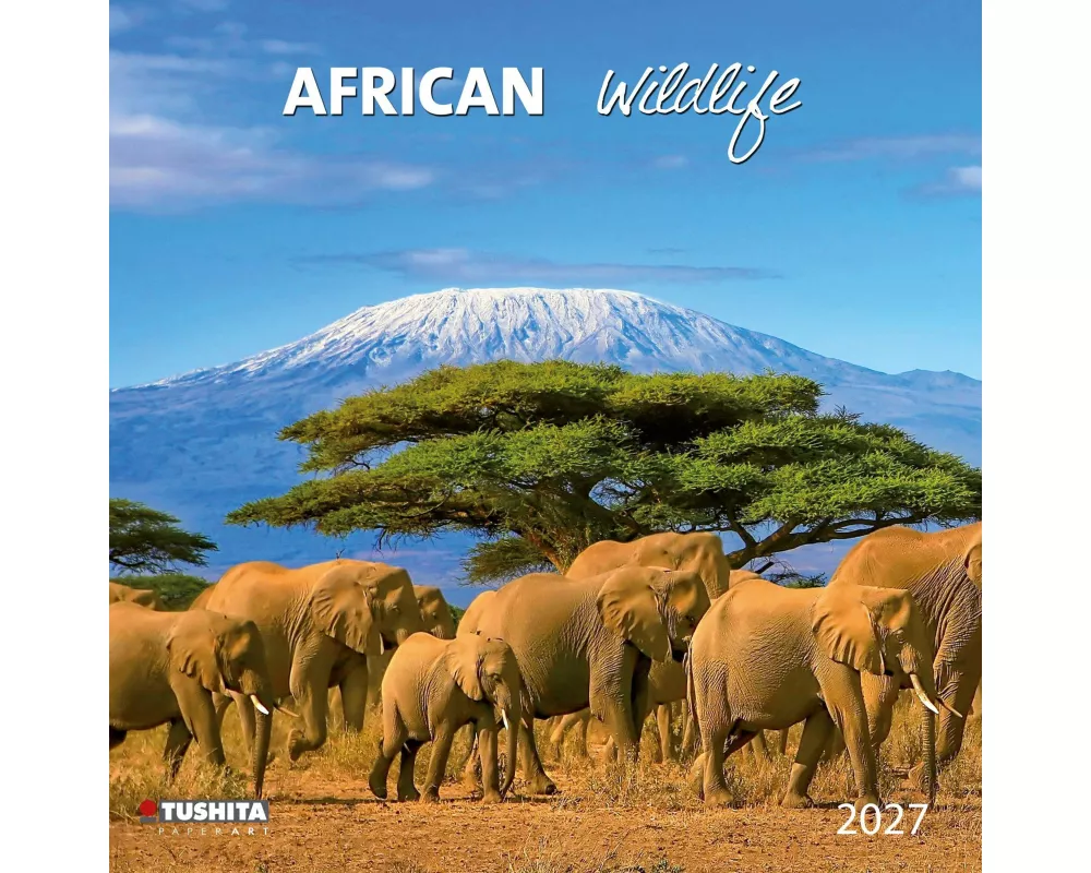 African Wildlife 2027