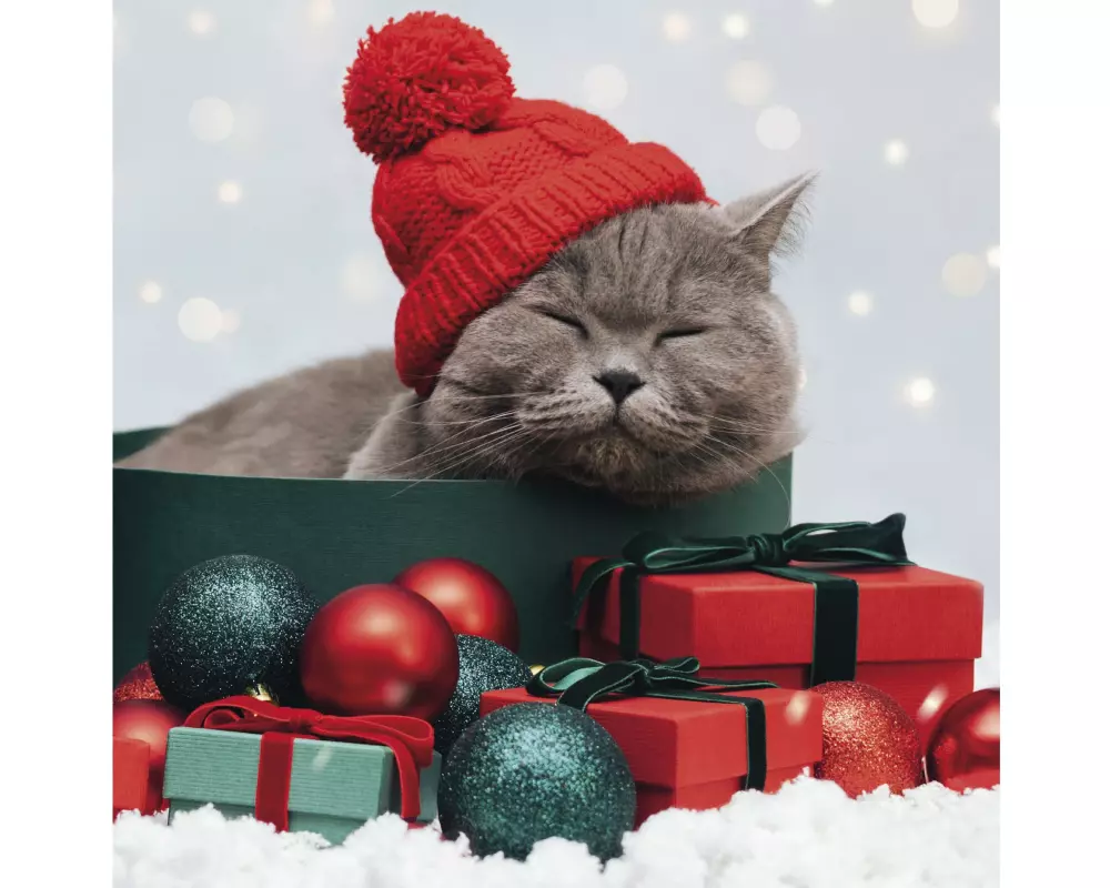 Paper + Design Zelltuchserviette Katze 33 x 33 cm 3-lagig