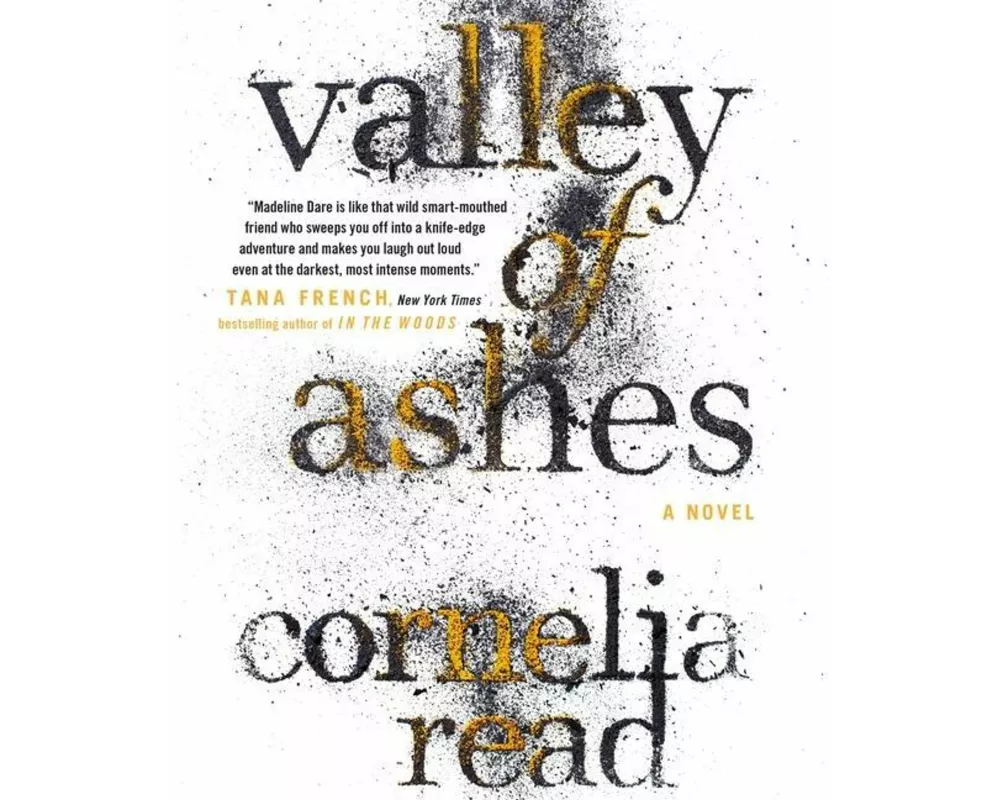 Valley of Ashes