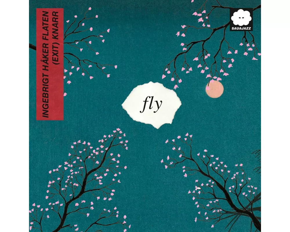 fly