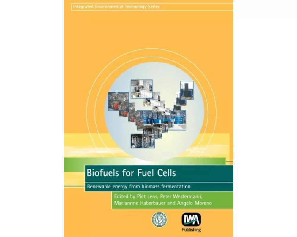 Biofuels for Fuel Cells