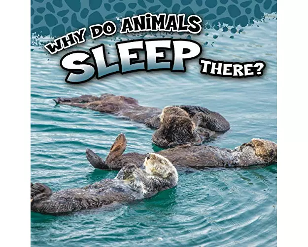 Why Do Animals Sleep There?