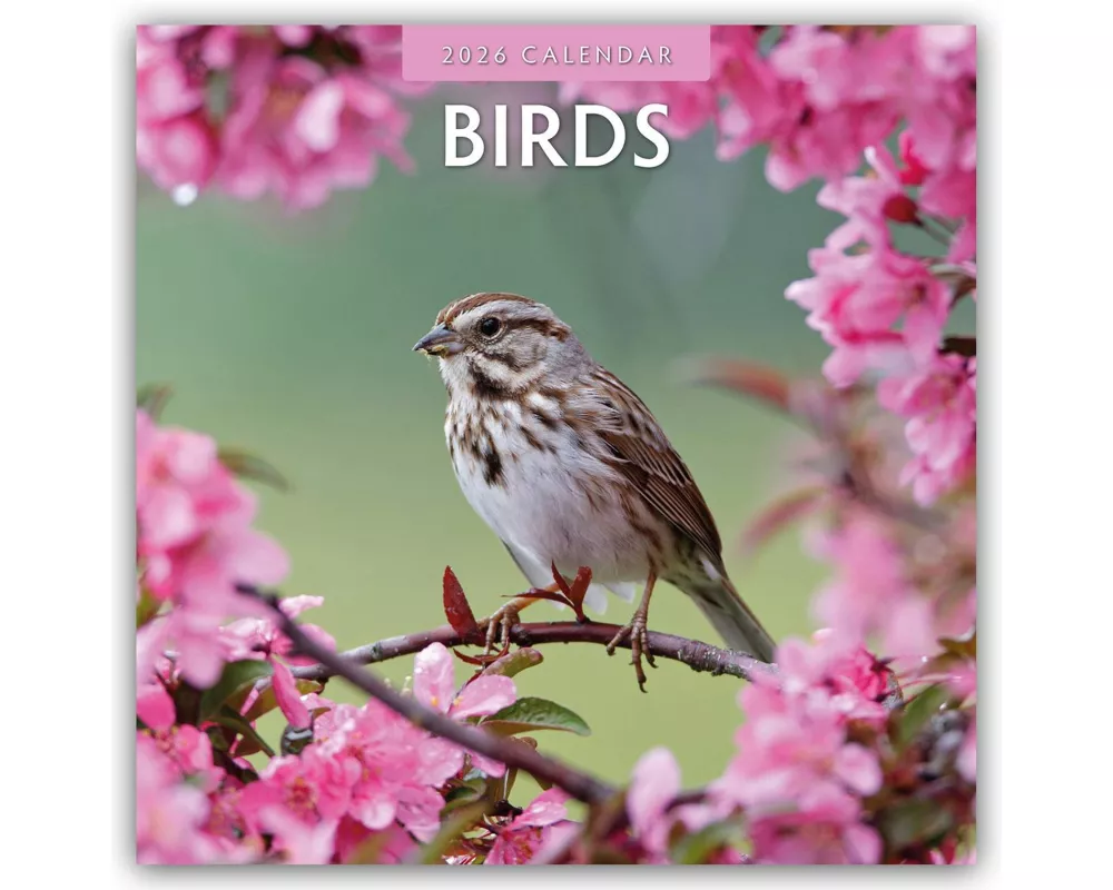 Birds 2026 Square Wall Calendar