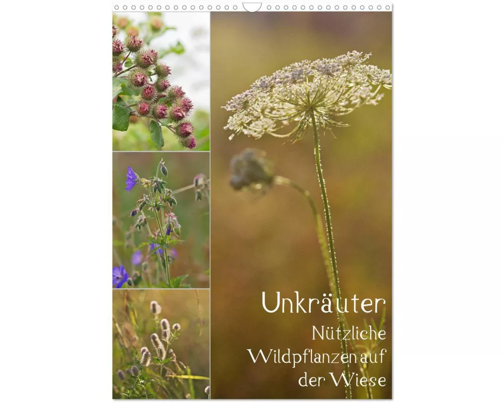 Unkräuter - Nützliche Wildpflanzen auf der Wiese (Wandkalender 2026 DIN A3 hoch), CALVENDO Monatskalender