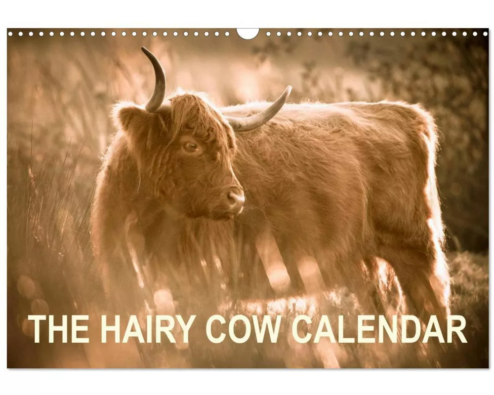 The Hairy Cow Calendar (Wall Calendar 2026 DIN A3 landscape), CALVENDO 12 Month Wall Calendar