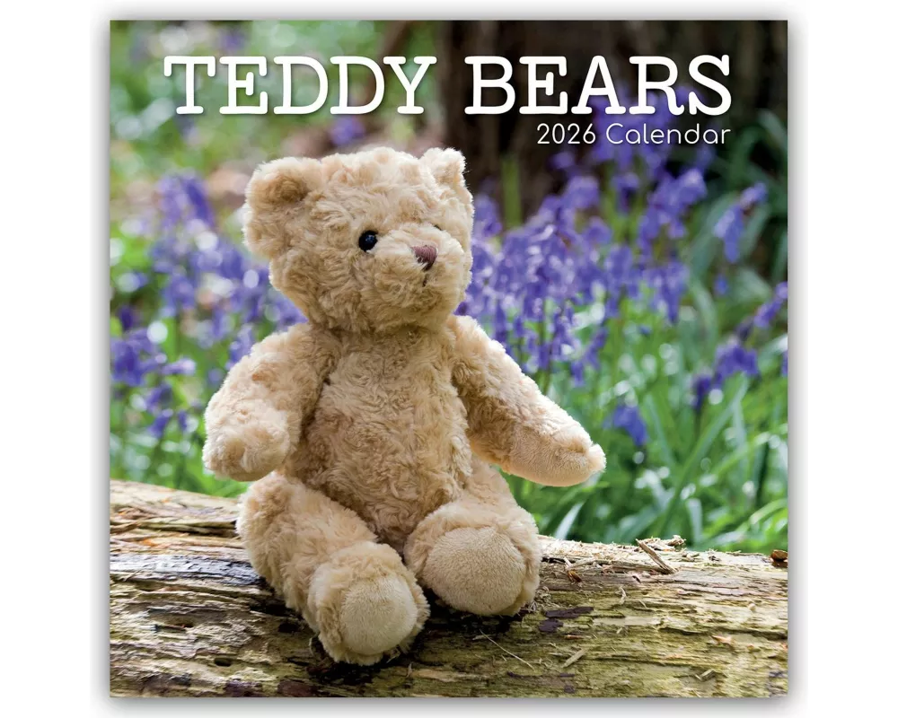 Teddy Bears - Teddybären 2026 - 16-Monatskalender