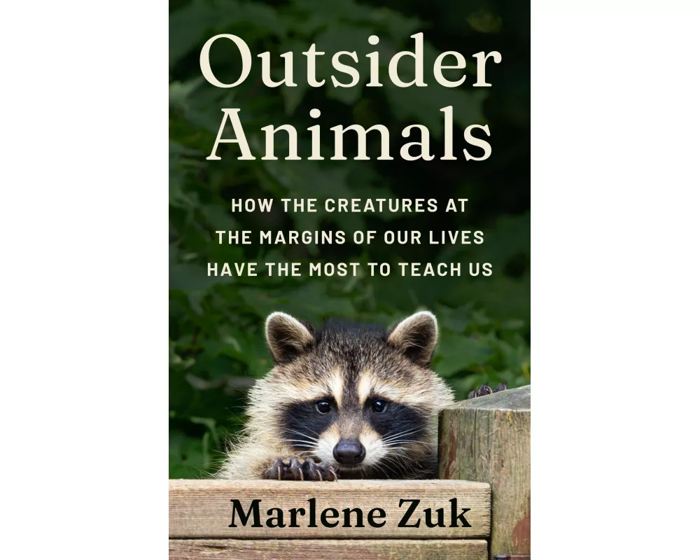 Outsider Animals