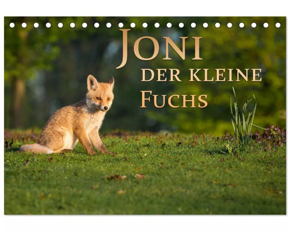 Joni, der kleine Fuchs (Tischkalender 2026 DIN A5 quer), CALVENDO Monatskalender