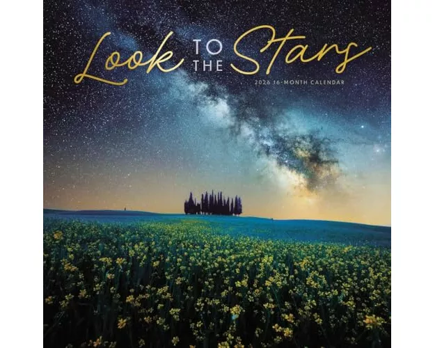 Look To The Stars Square Wall Sunday Sta