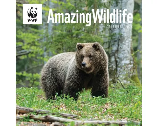 Wwf Amazing Wildlife Square Wall Calenda
