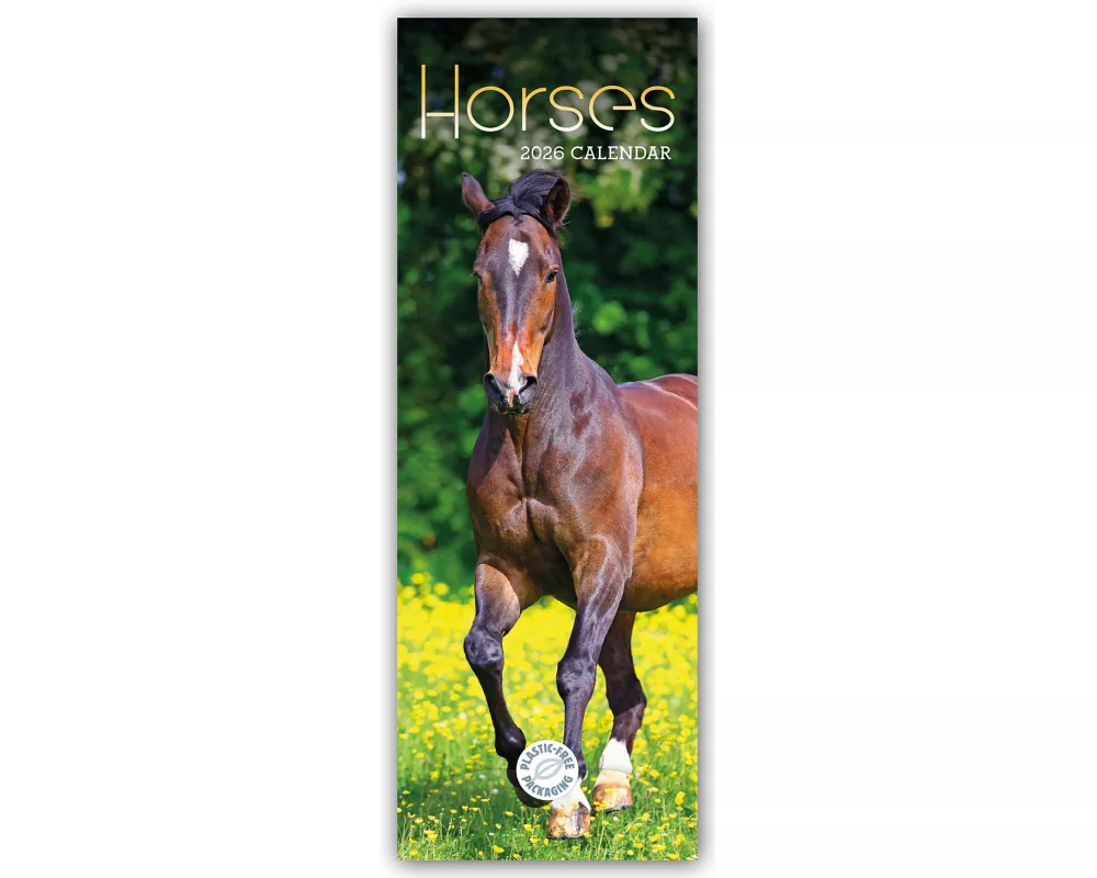 Horses Slim Calendar 2026