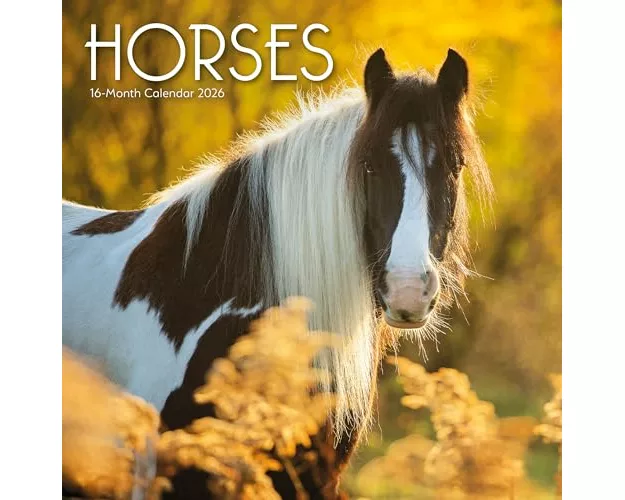 Horses Square Wall Sunday Start Calendar