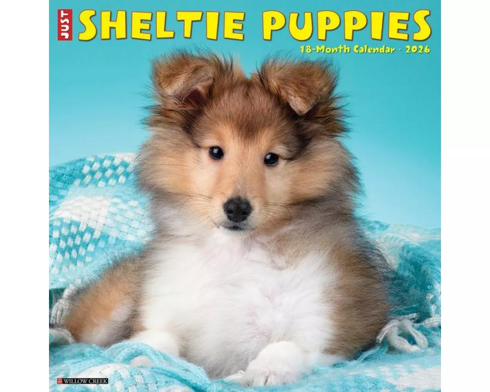 Sheltie Puppies 2026 12 X 12 Wall Calendar