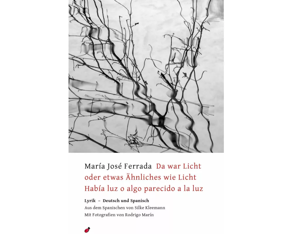 Da war Licht oder etwas Ähnliches wie Licht / Había luz o algo parecido a la luz