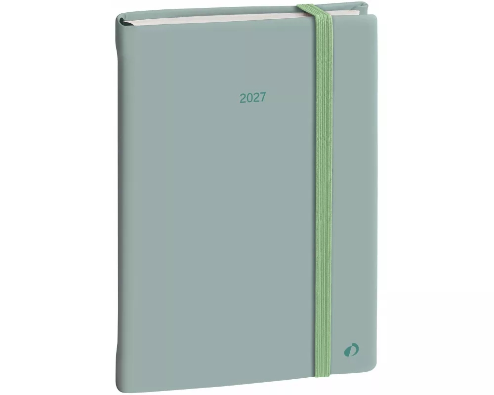 DAILY 21 COLOR ML Pastel grün El 2027