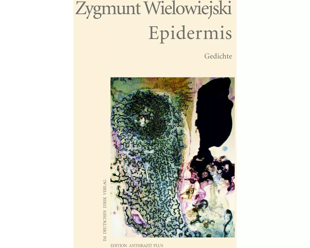 Epidermis