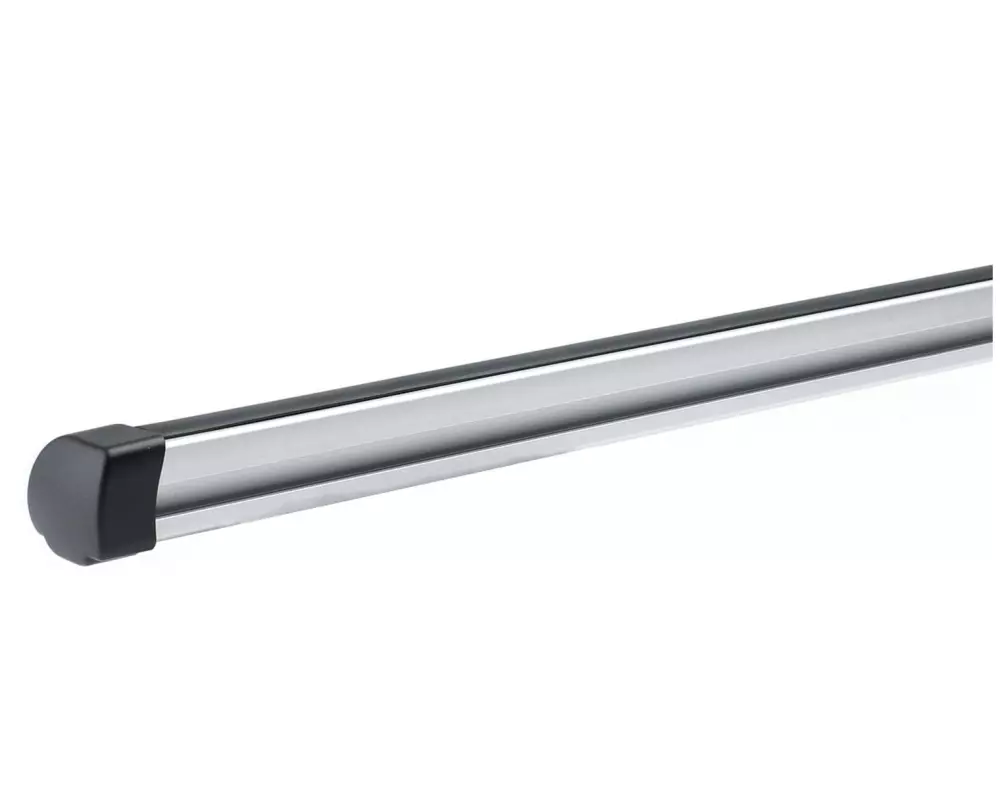 Thule Lastenträger ProBar Evo 135