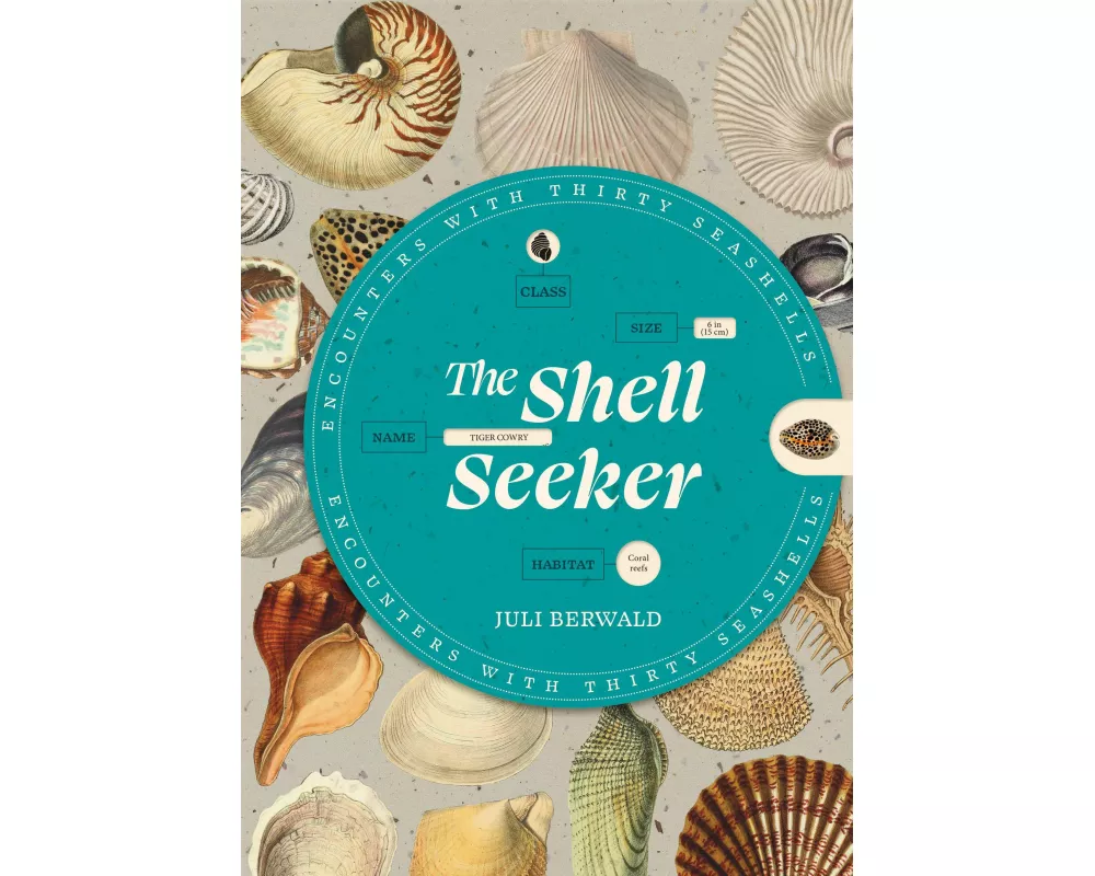 The Shell Seeker