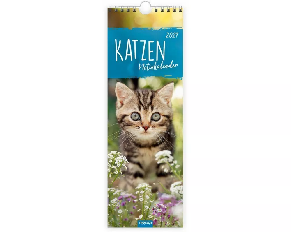 TRÖTSCH - Streifenkalender Katzen 2027 Notizkalender