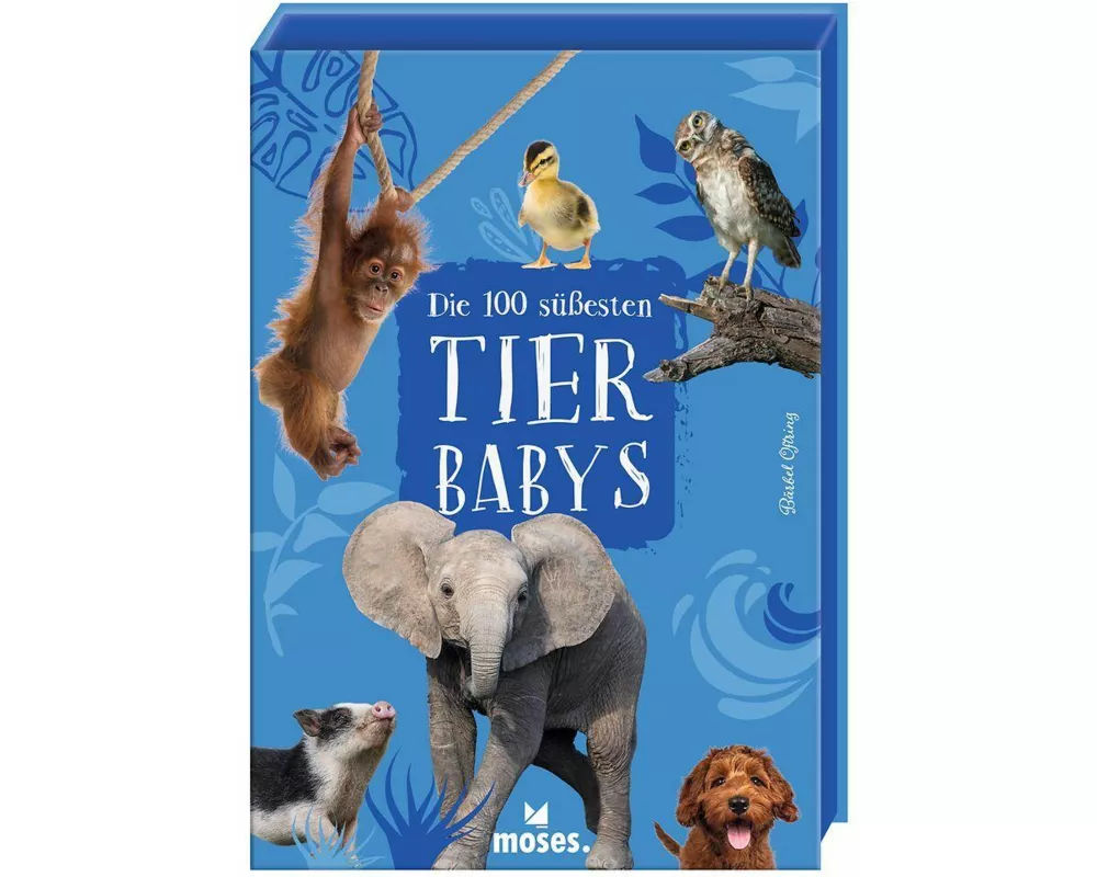 Die 100 süssesten Tierbabys