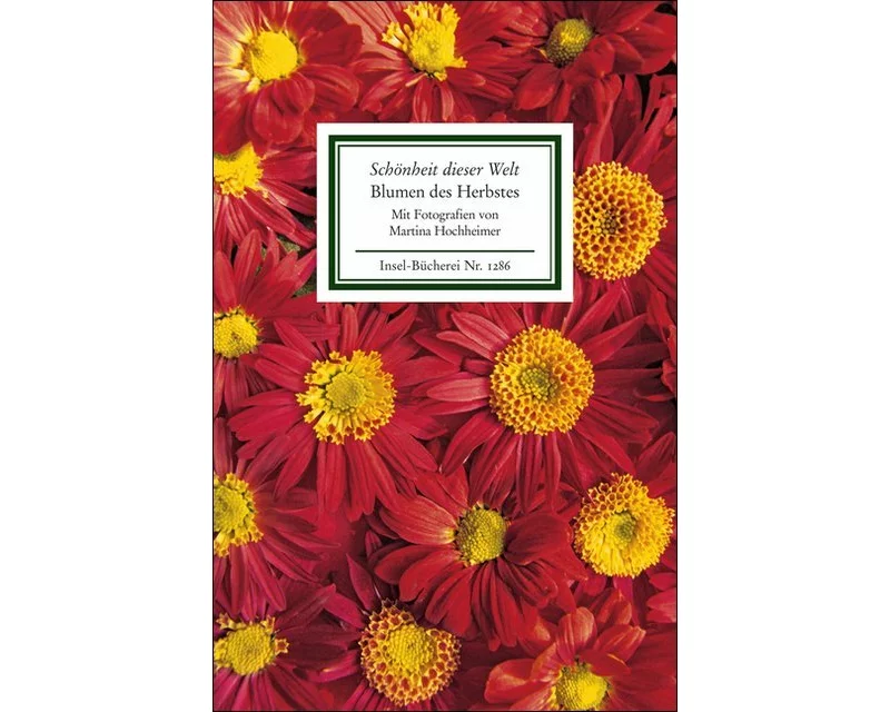 »Schönheit dieser Welt«. Blumen des Herbstes