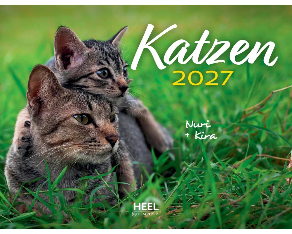 Katzen 2027 Eintragkalender