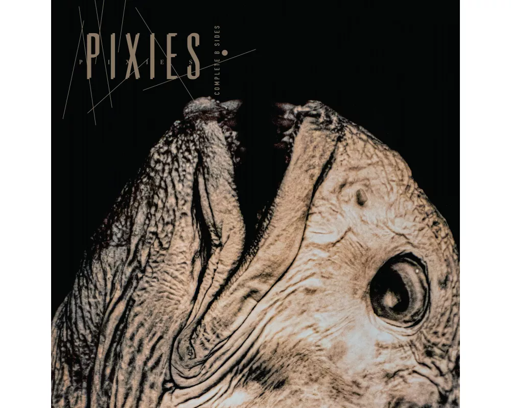 Complete B-Sides 1988-1997 (+6 Bonus Tracks)