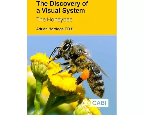 The Discovery of a Visual System: The Honeybee