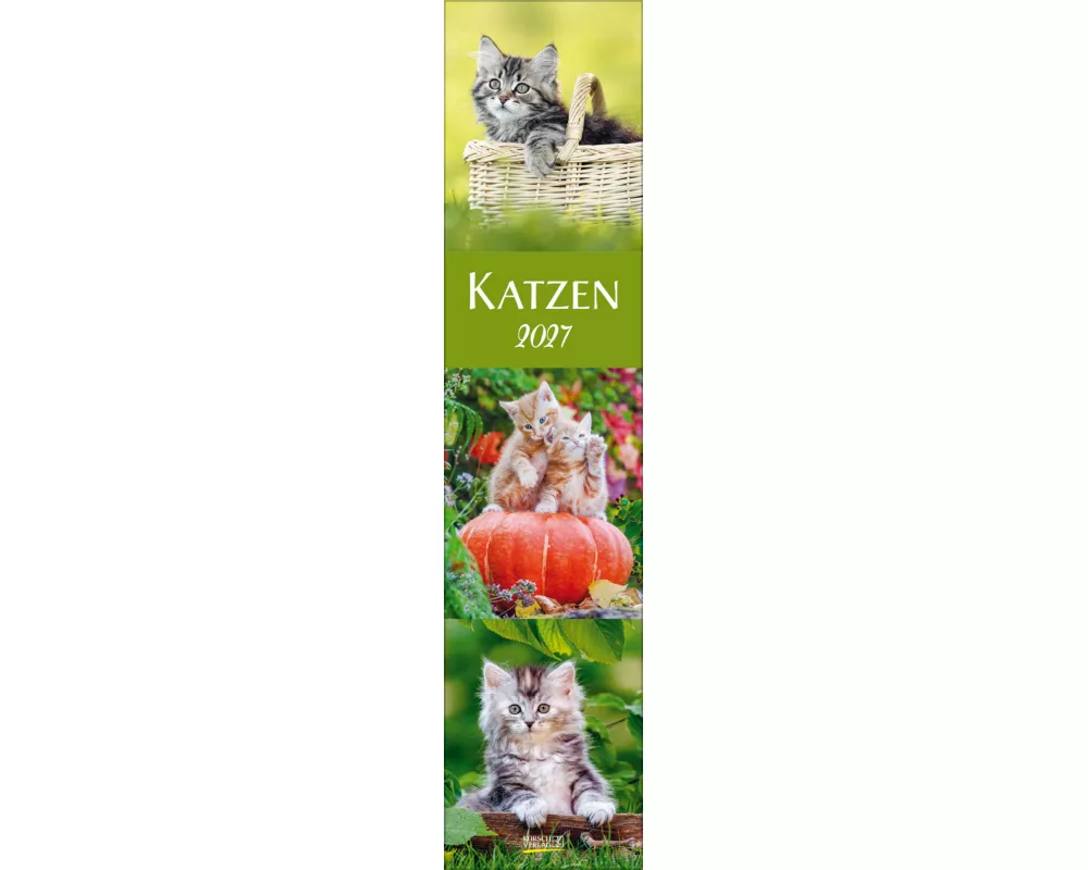 Katzen Langplaner 2027