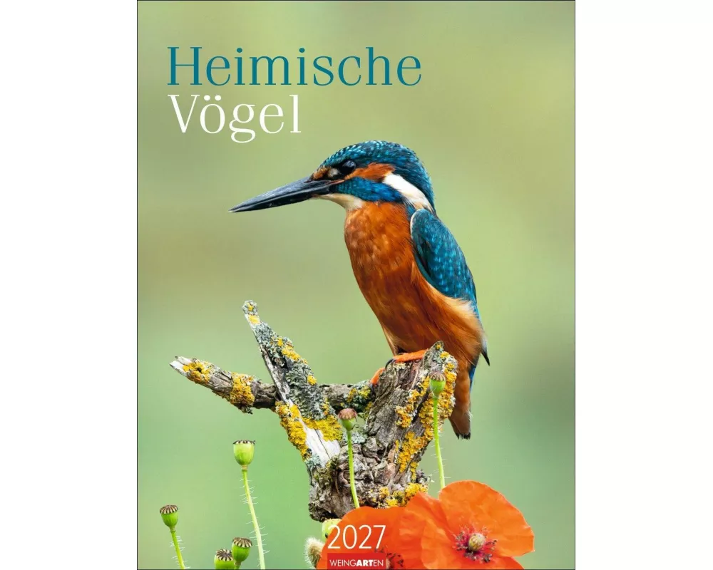 Heimische Vögel Kalender 2027