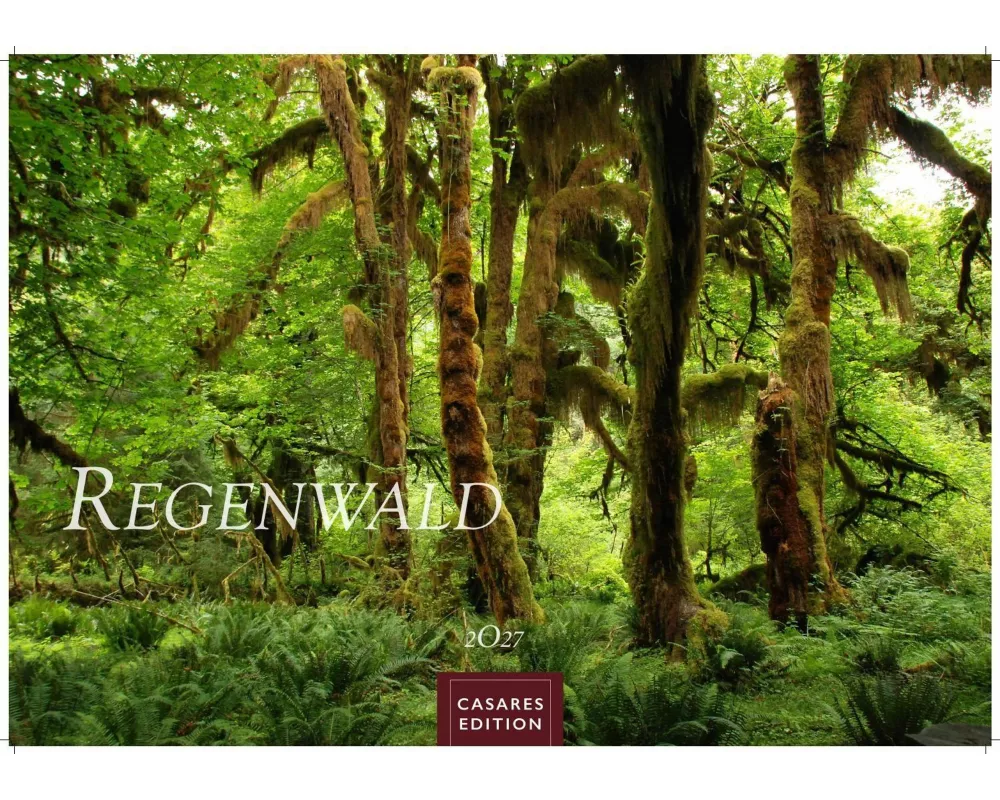 Regenwald Kalender 2027 - Wandkalender | Fotokalender Naturkalender 35x50cm | Wunderschöne Fotos tropischer Wälder und Landschaften
