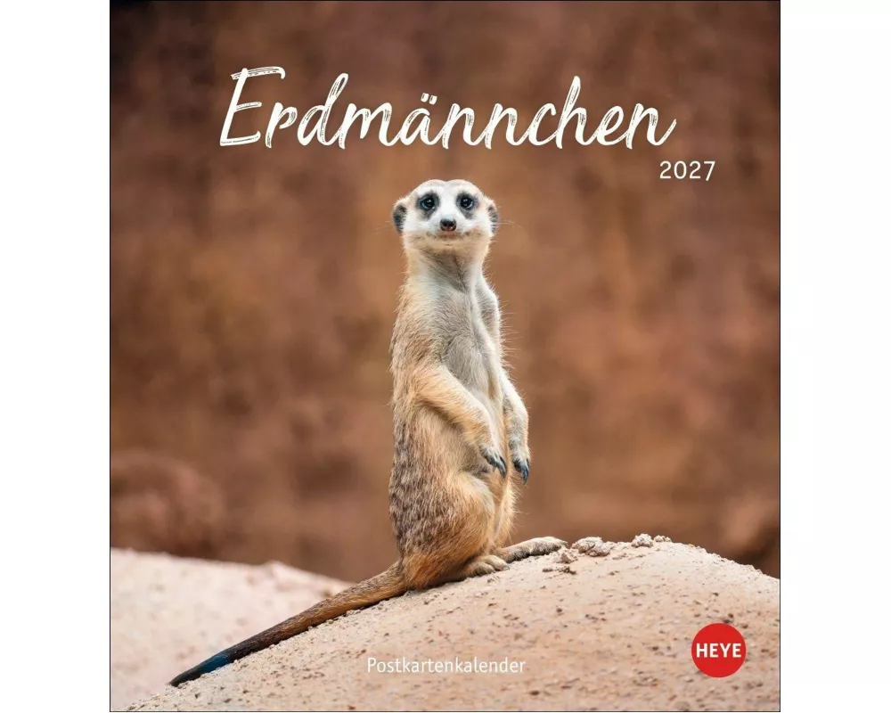 Erdmännchen Postkartenkalender 2027