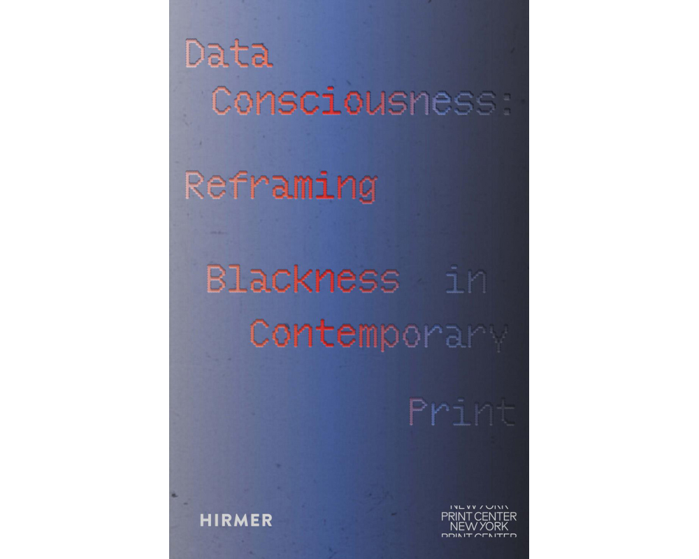 Data Consciousness