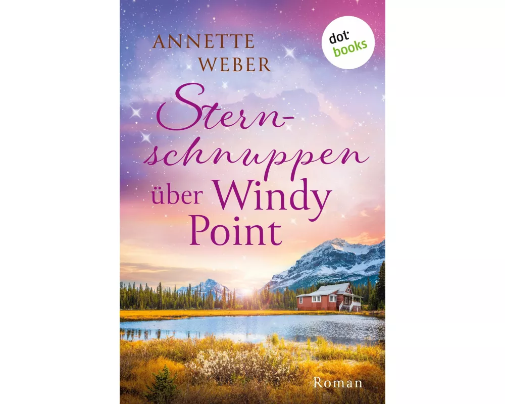 Sternschnuppen über Windy Point