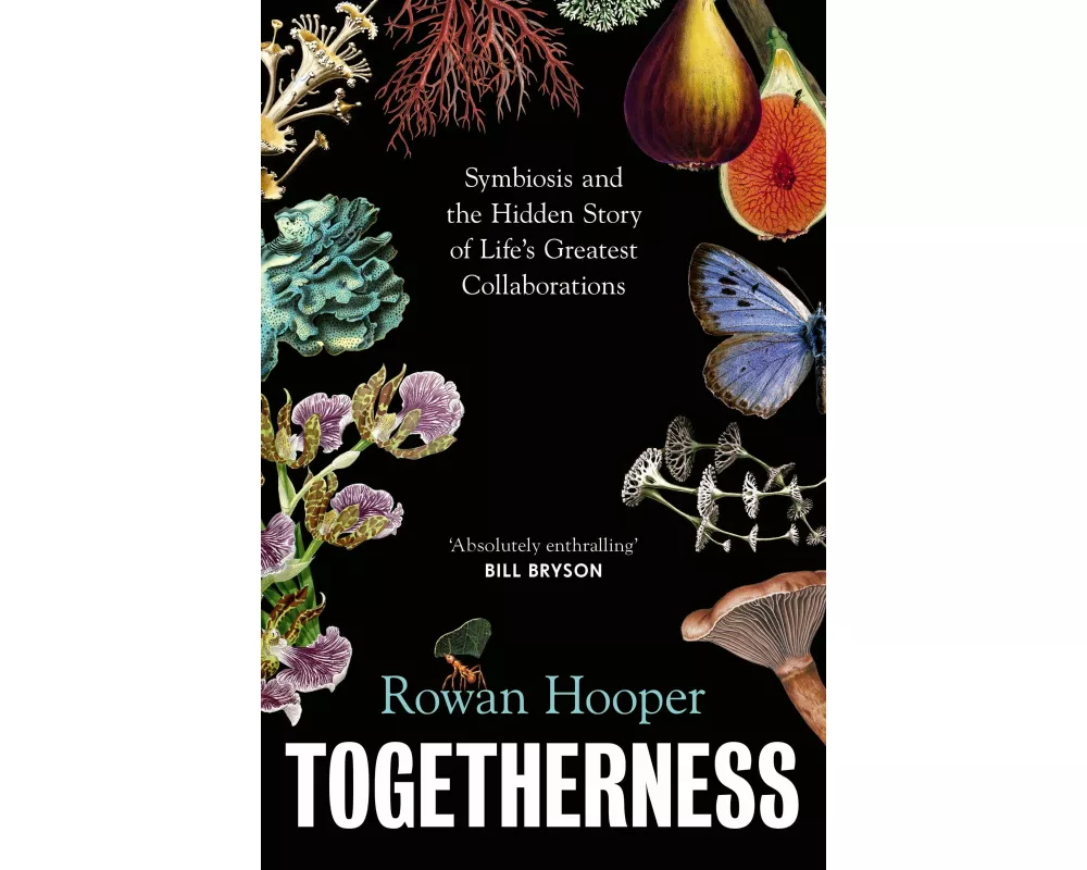 Togetherness
