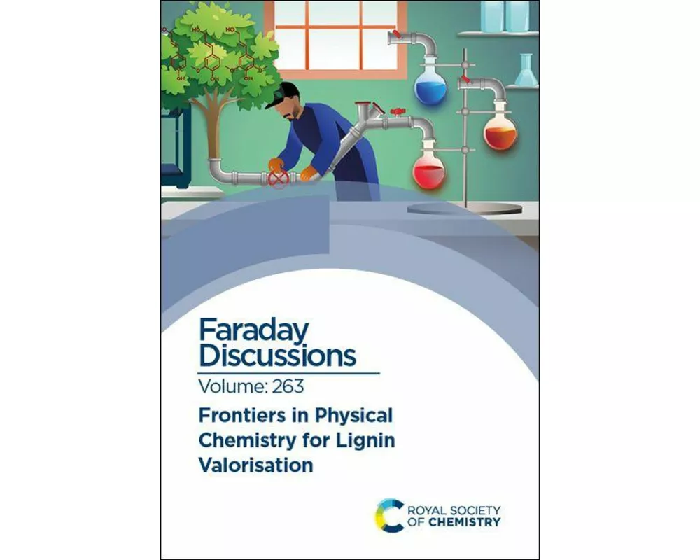 Frontiers in Physical Chemistry for Lignin Valorisation