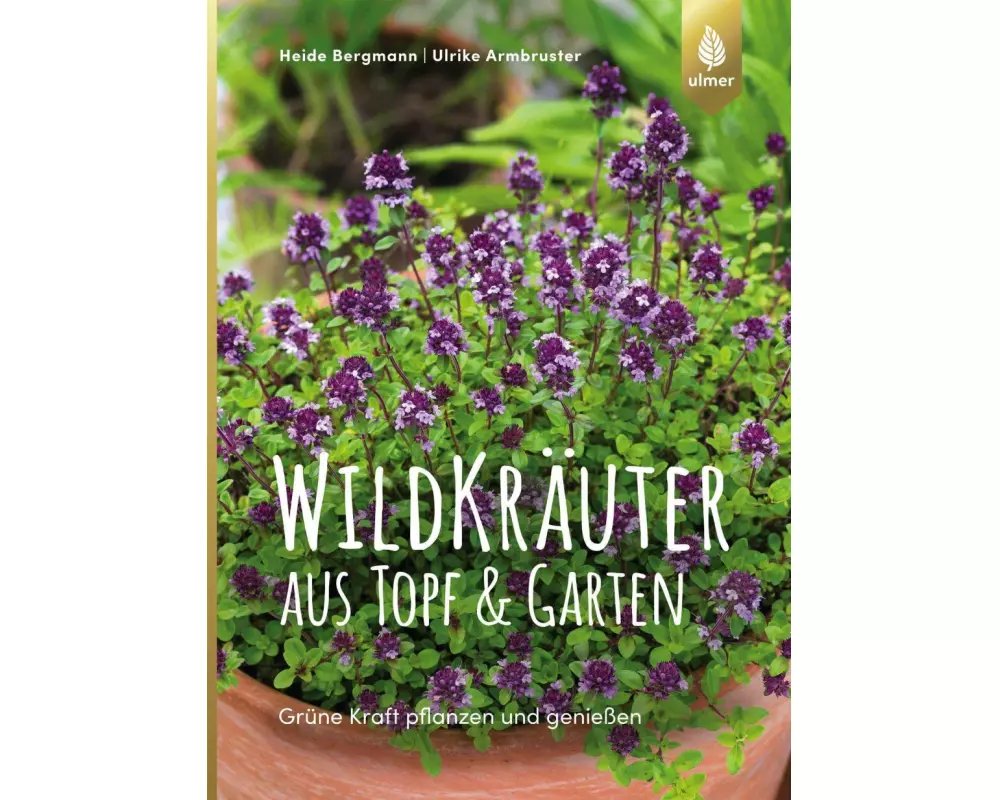 Wildkräuter aus Topf und Garten
