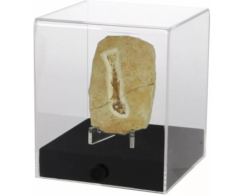 Präsentationscube.Aus hochwertigem Acryl.Format 120 x 120 x 140 mm Höhe.Schwarzer stabiler Boden