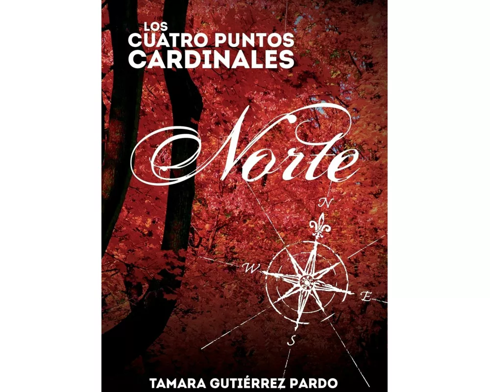Los Cuatro Puntos Cardinales. Norte (1ª novela de la saga)