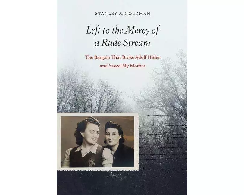 Left to the Mercy of a Rude Stream