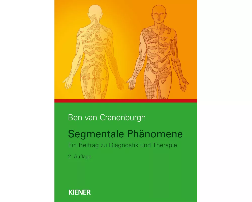 Segmentale Phänomene