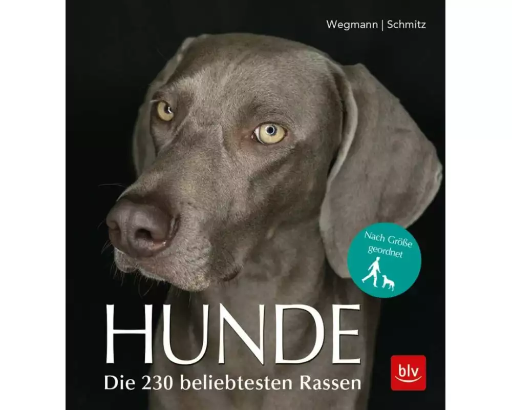 Hunde