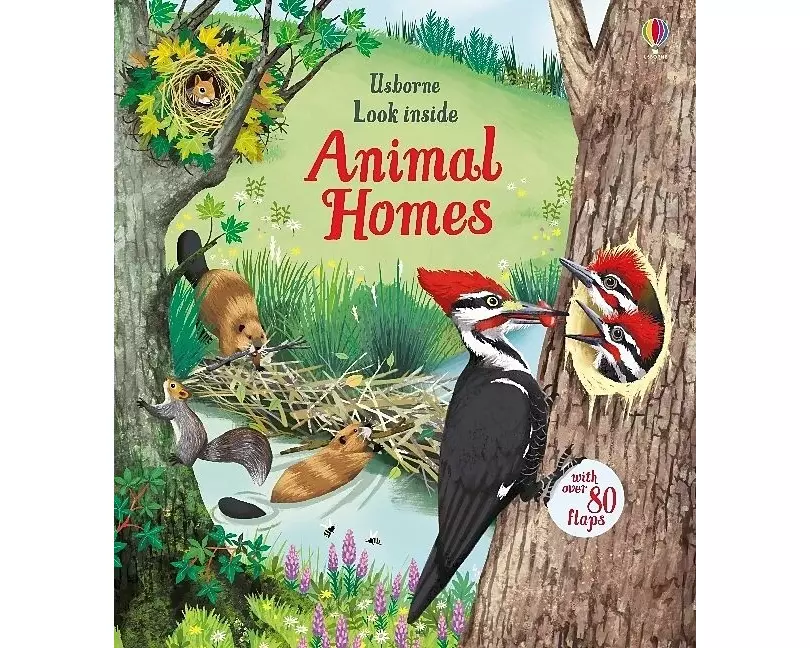 Look Inside Animal Homes