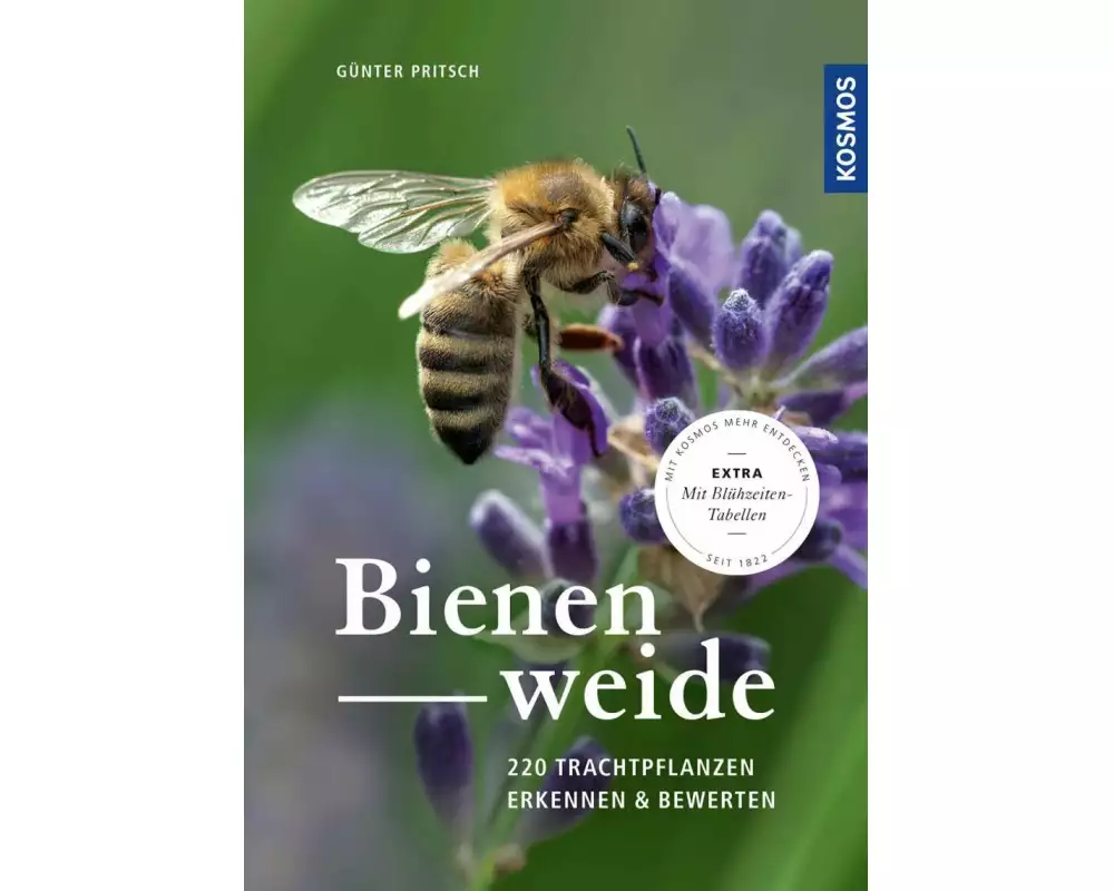 Bienenweide